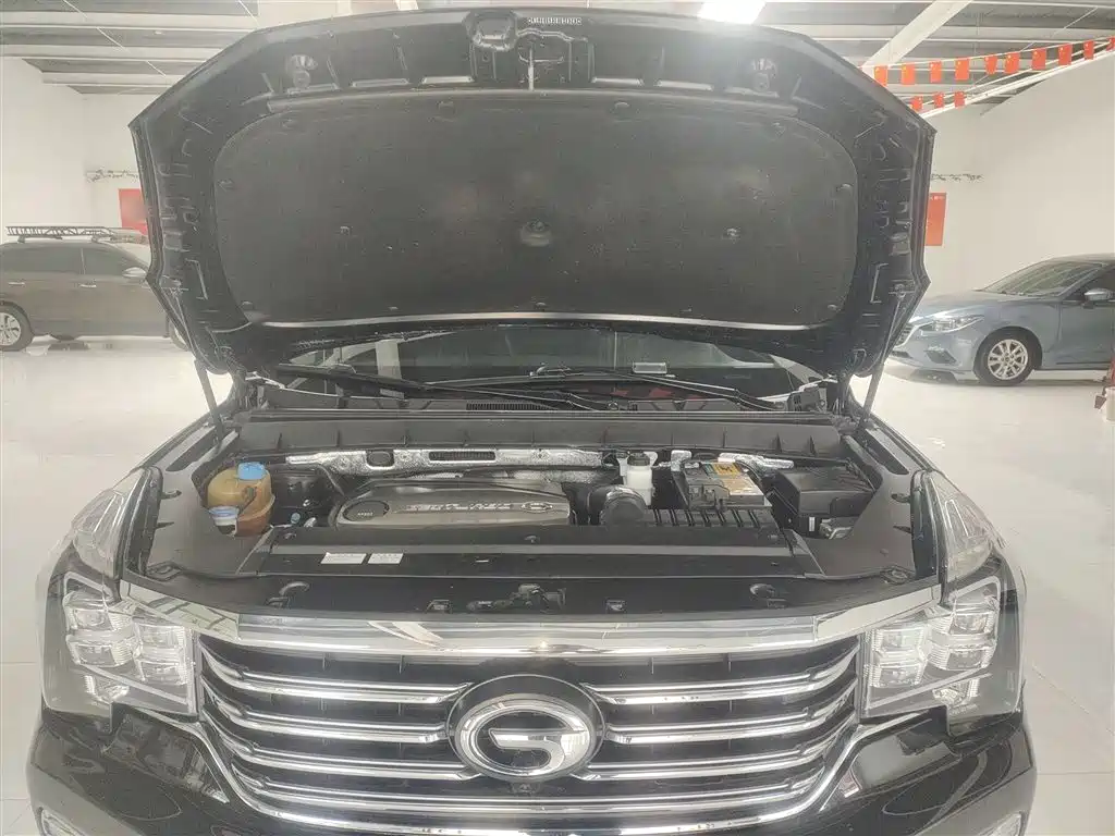 GAC Trumpchi Trumpchi GS8 2017 320T 2WD Luxury Smart Connect (7-seater) фото 16
