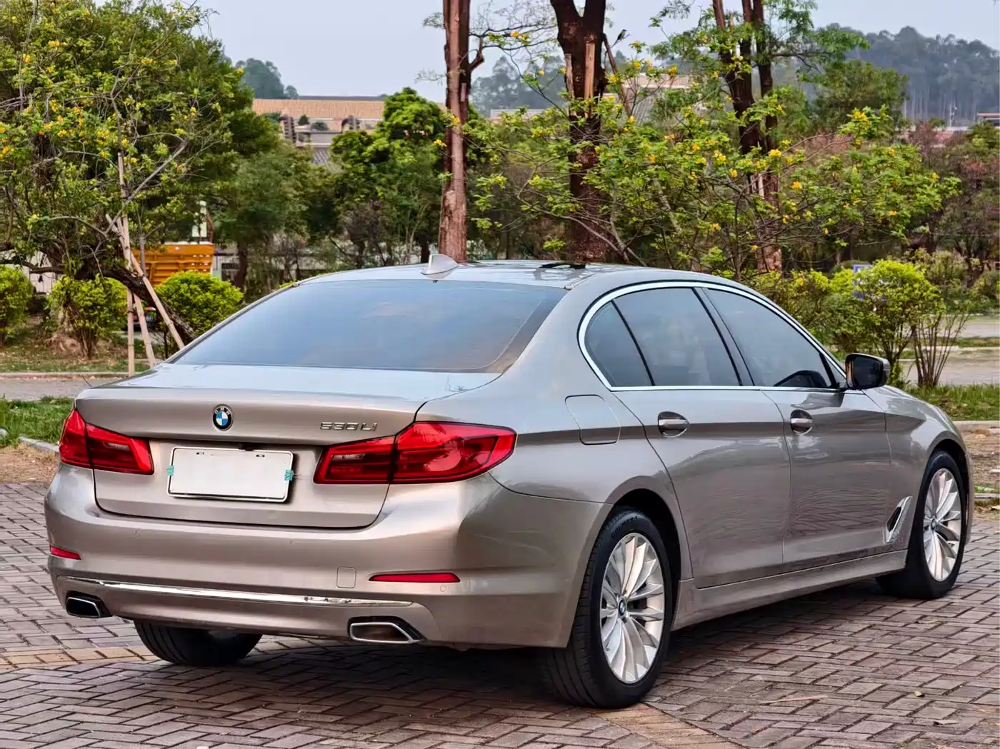 BMW 5 Series 2020 530Li Leading Luxury Package фото 5