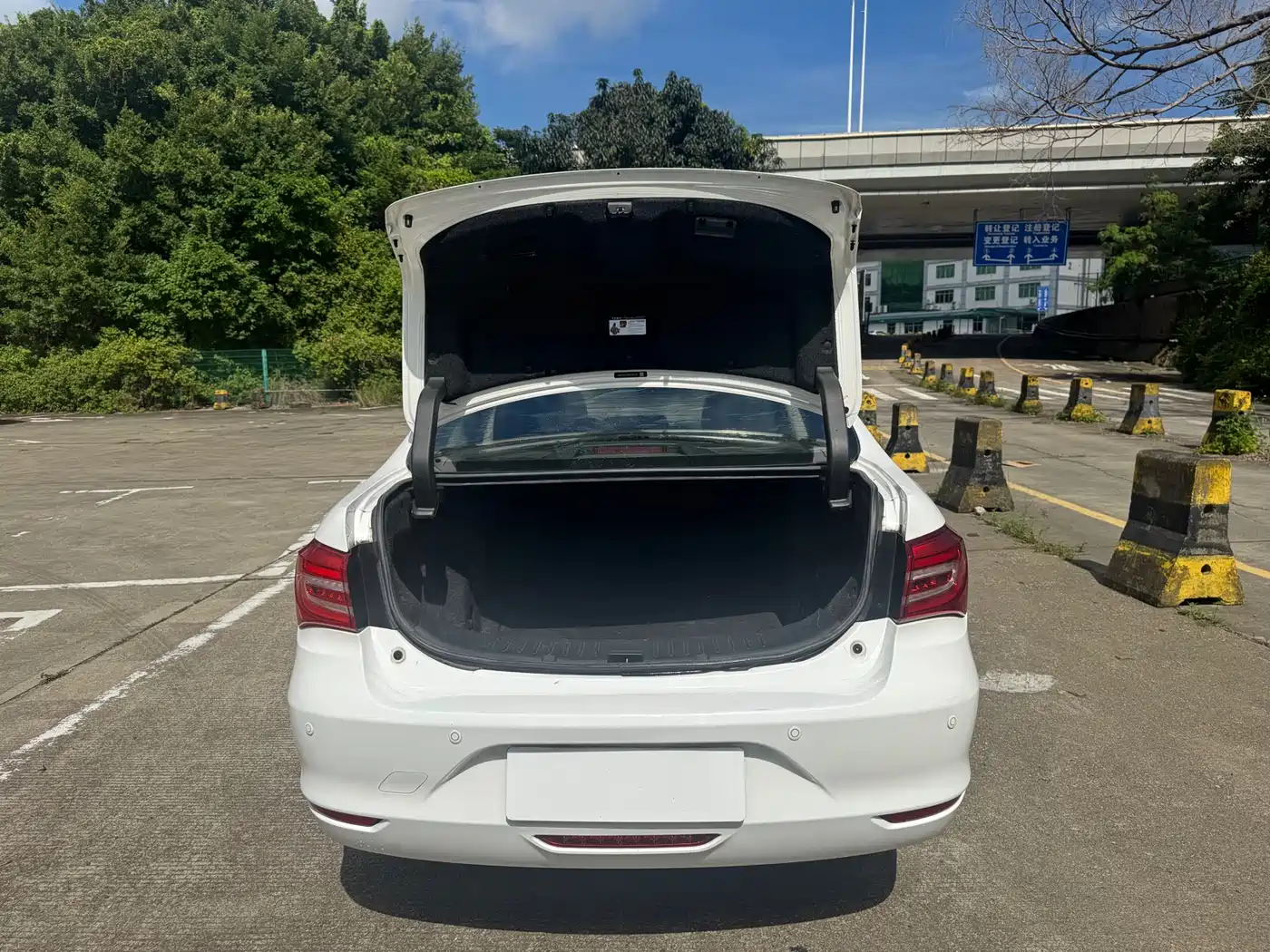 BYD Qin New Energy 2017 1.5T Premium Model фото 8