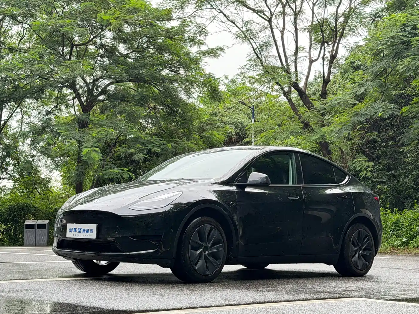 Tesla Model Y 2024 Rear-Wheel Drive Version