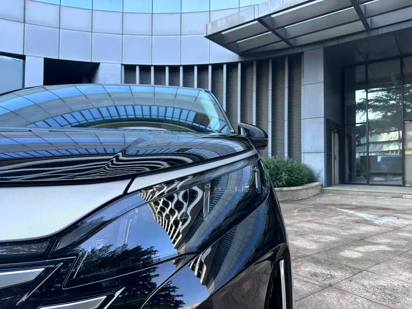2025 BYD Xia