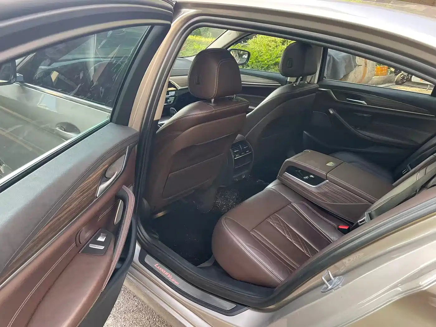 BMW 5 Series 2019 530Li Leading Luxury Package фото 10