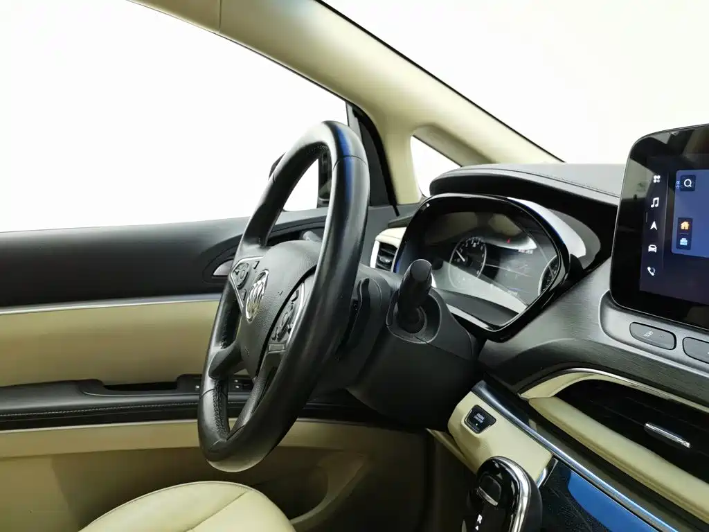Buick GL8, миниатюра 22