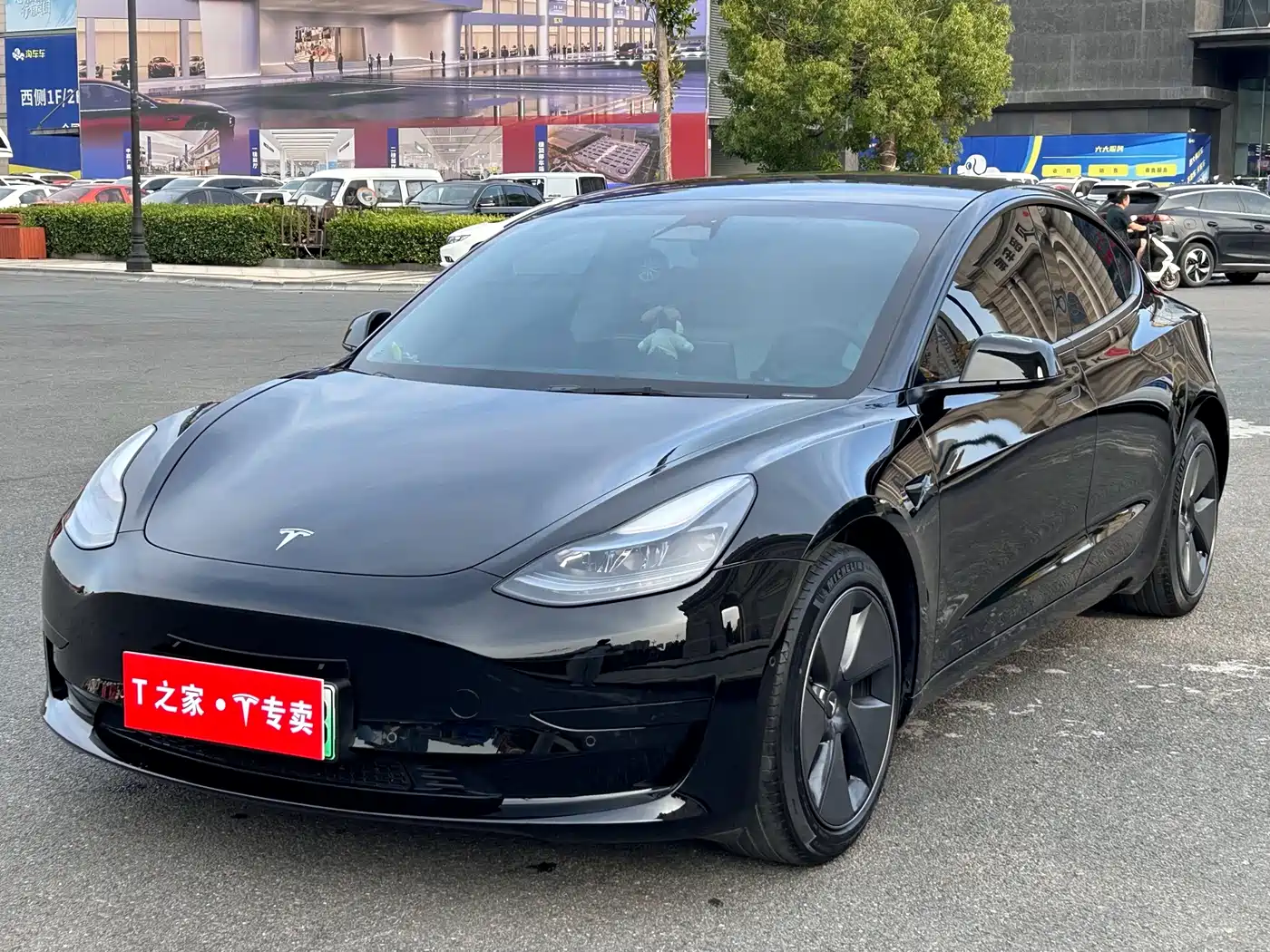 Tesla Model 3 2022 Model Rear-Wheel Drive Version
