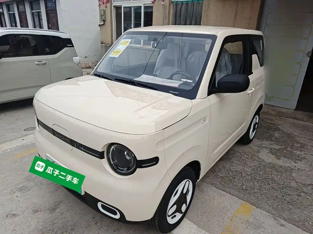 Фото 1 - Geely Galaxy Panda