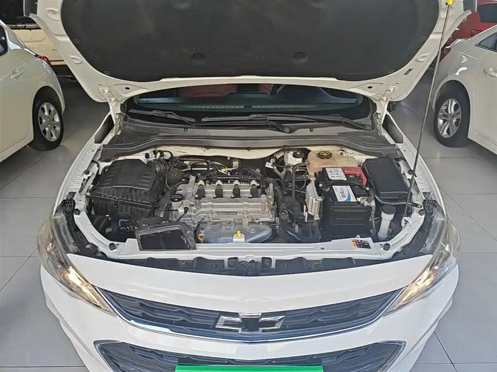 Chevrolet Cavalier 2019 320 Auto Sunroof Enjoyment Edition фото 20