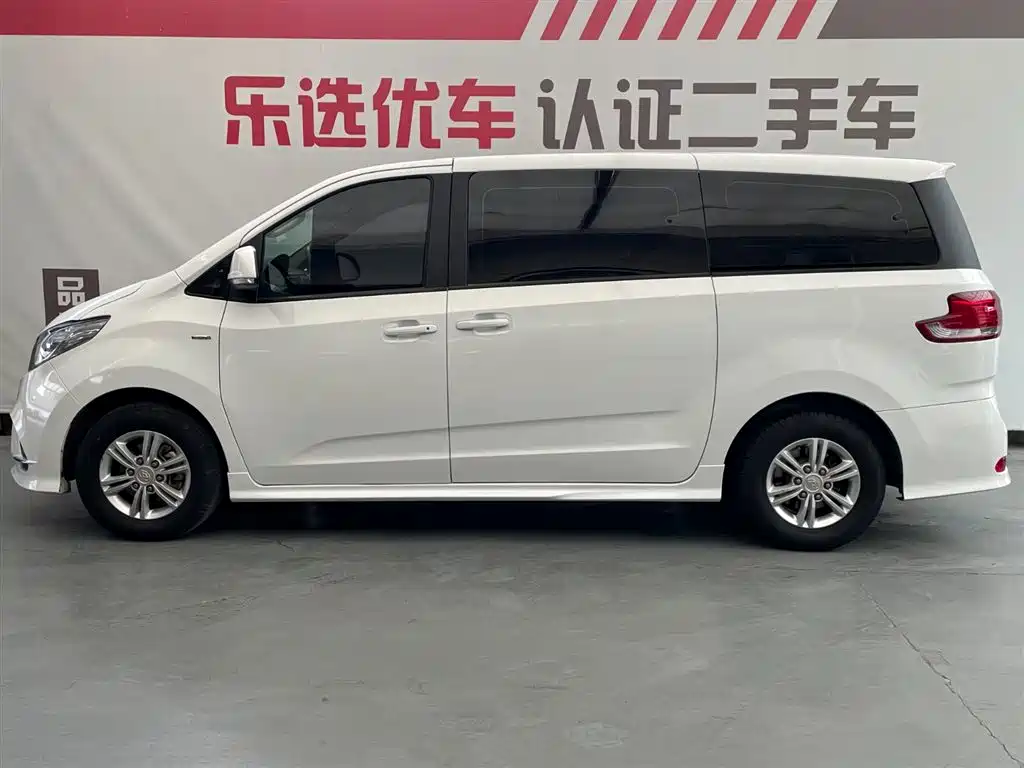 SAIC MAXUS CHASE G10