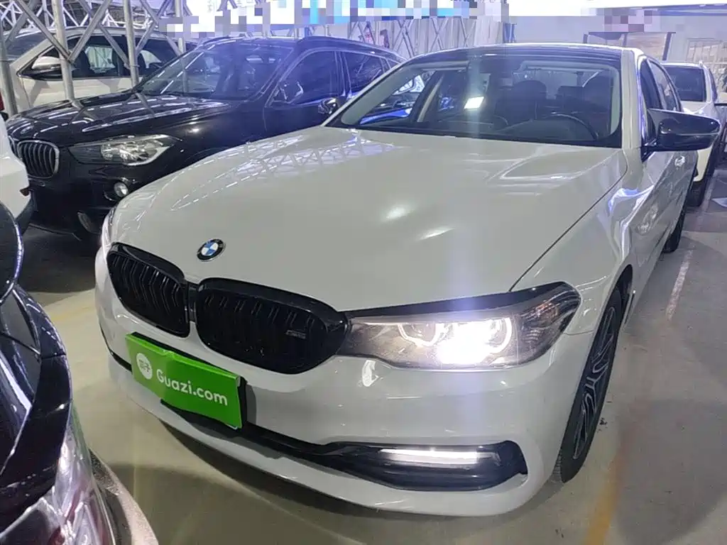 BMW 5 Series 2018 530Li Leading Luxury Package фото 3