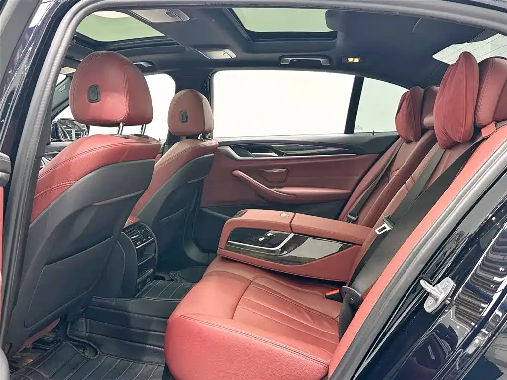 BMW 5 Series 2020 530Li Leading M Sport Package фото 9