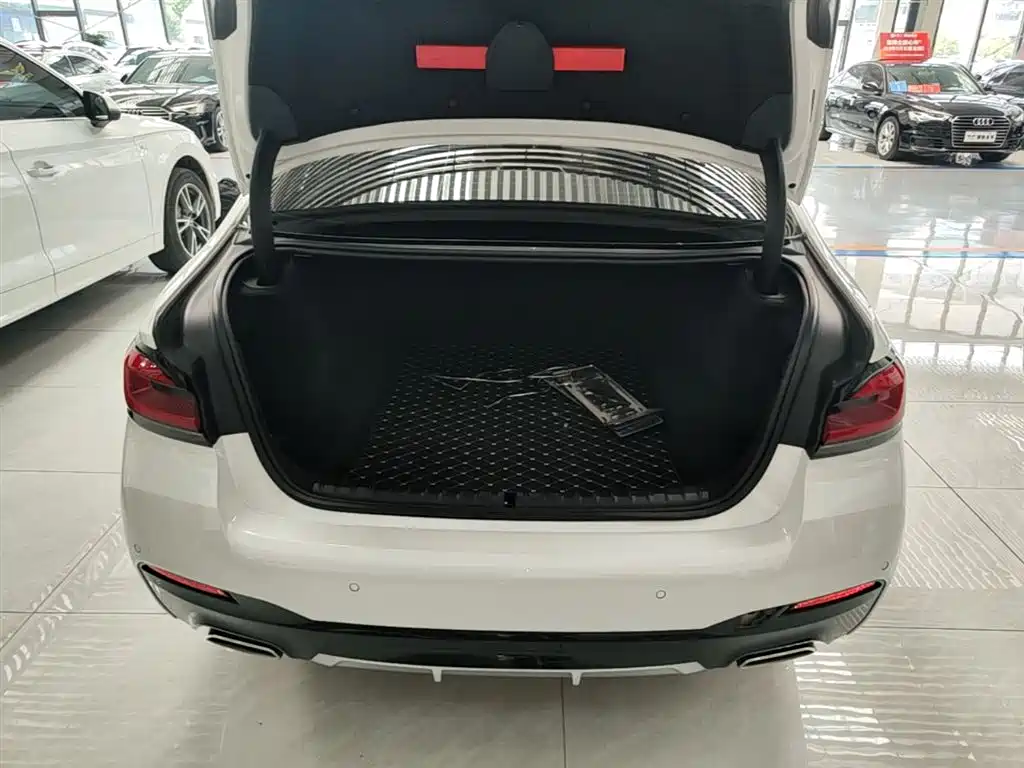 BMW 5 Series 2022 Facelift 525Li M Sport Package фото 19