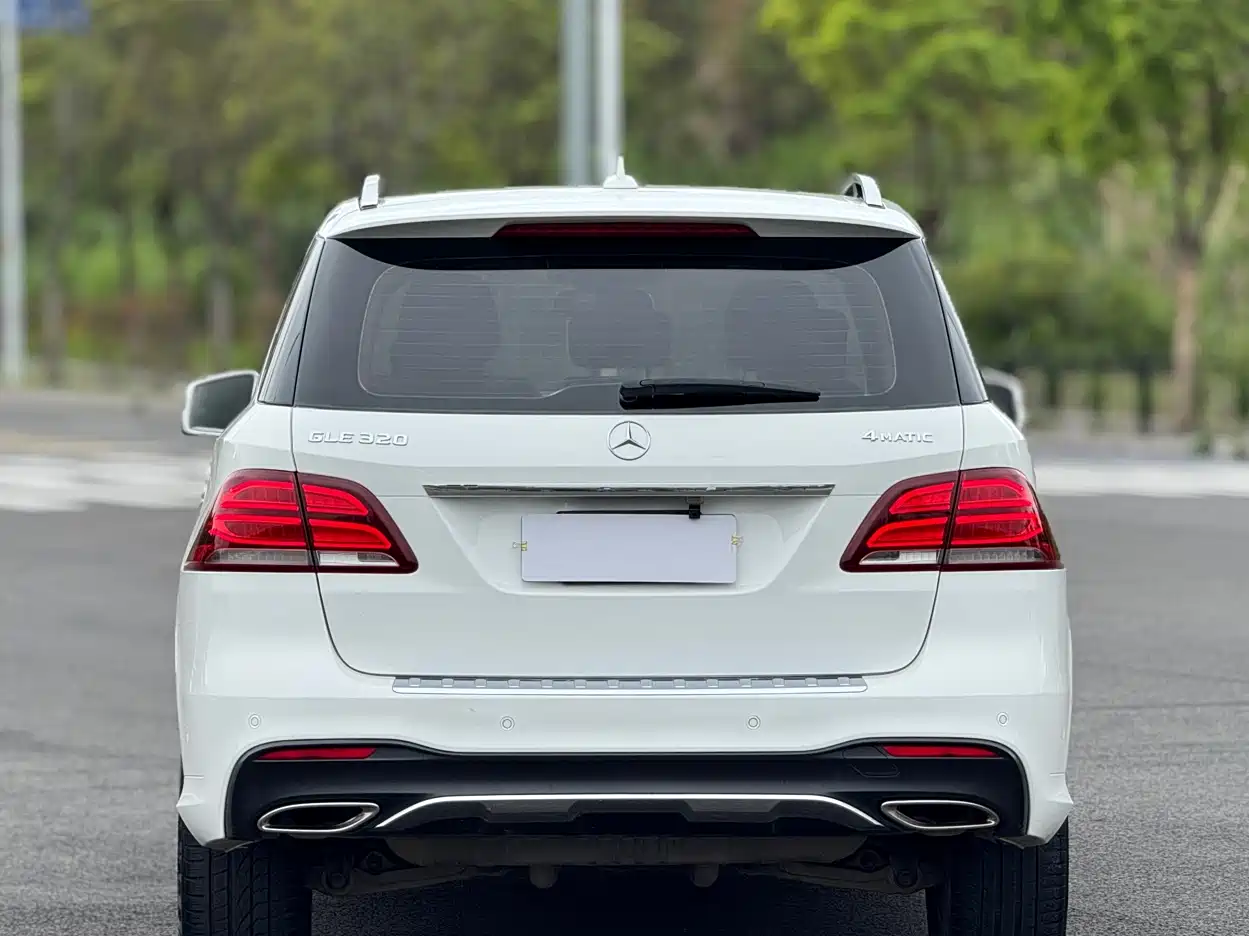 Mercedes-Benz GLE 2015 GLE 320 4MATIC фото 15