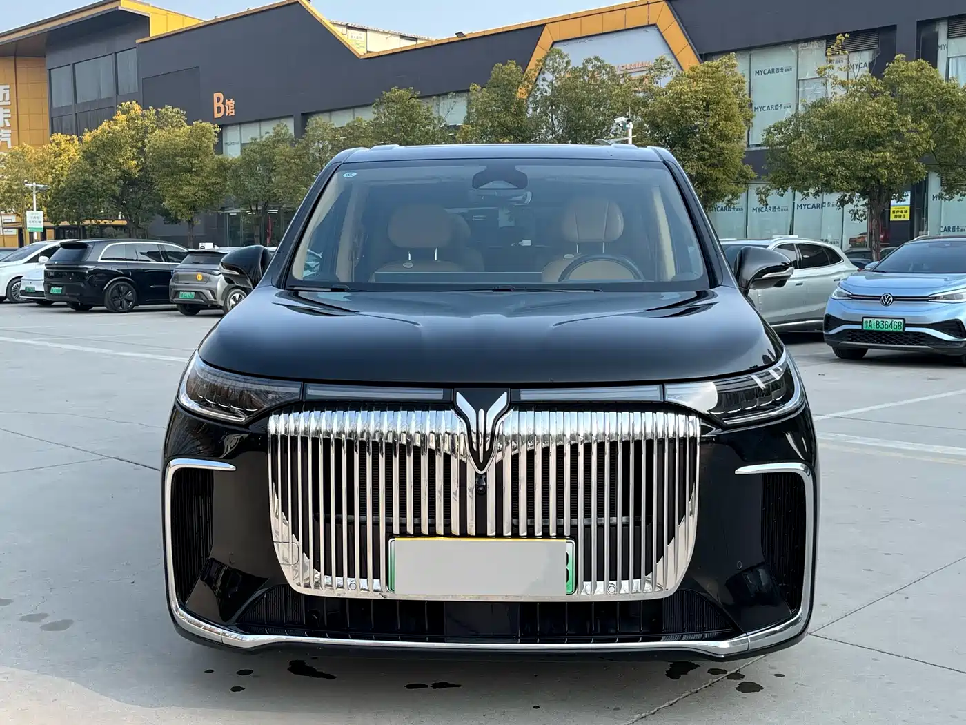 Voyah Auto Voyah Dreamer 2025 PHEV AWD Flagship Kunpeng Edition фото 7