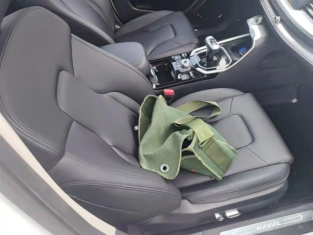 Haval H6 2017 Blue Label 2.0T Automatic 2WD Smart Edition фото 25