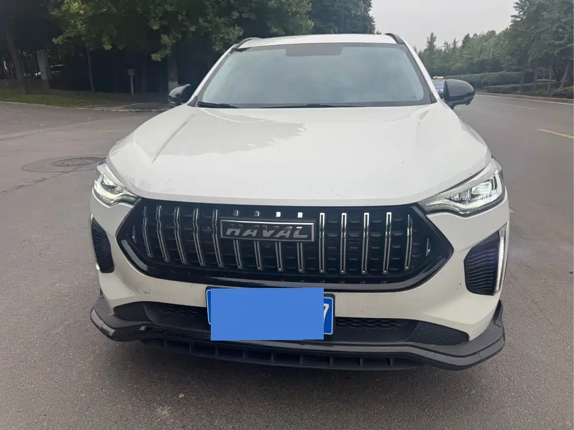 Haval Haval Chitu 2022 Power Edition 1.5T Purple Copper Rabbit