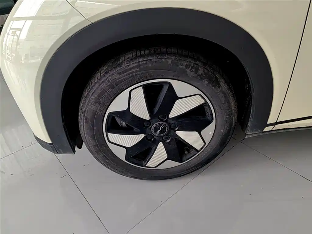 BYD Dolphin 2024 Glory Edition 420km Fashion Edition фото 23