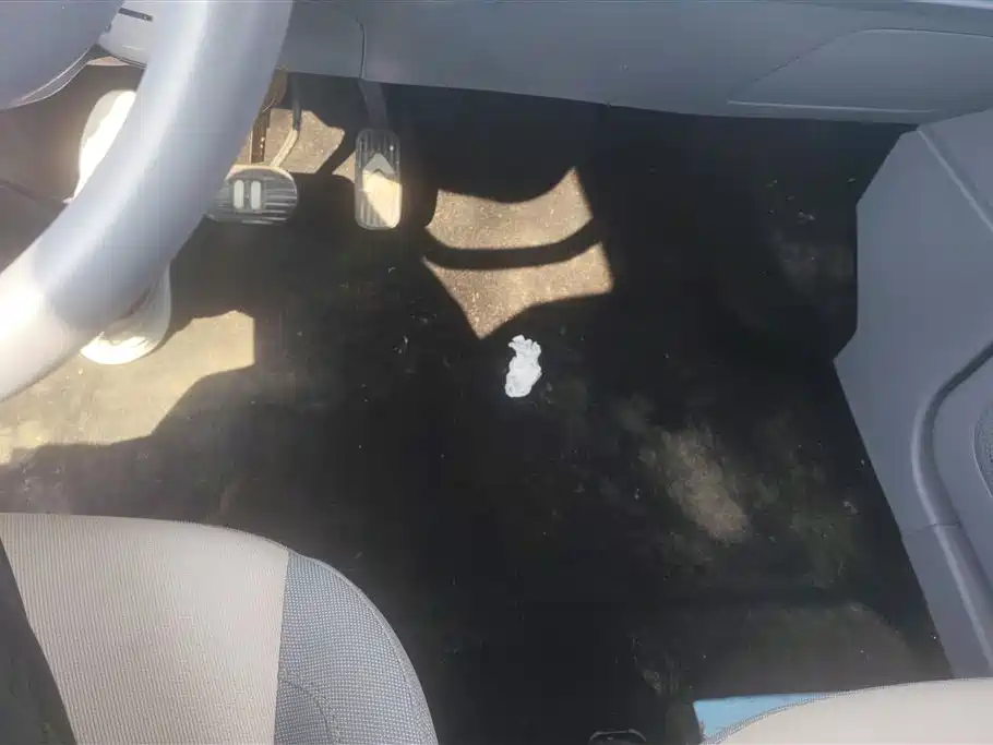 BESTUNE PENTIUM PONY