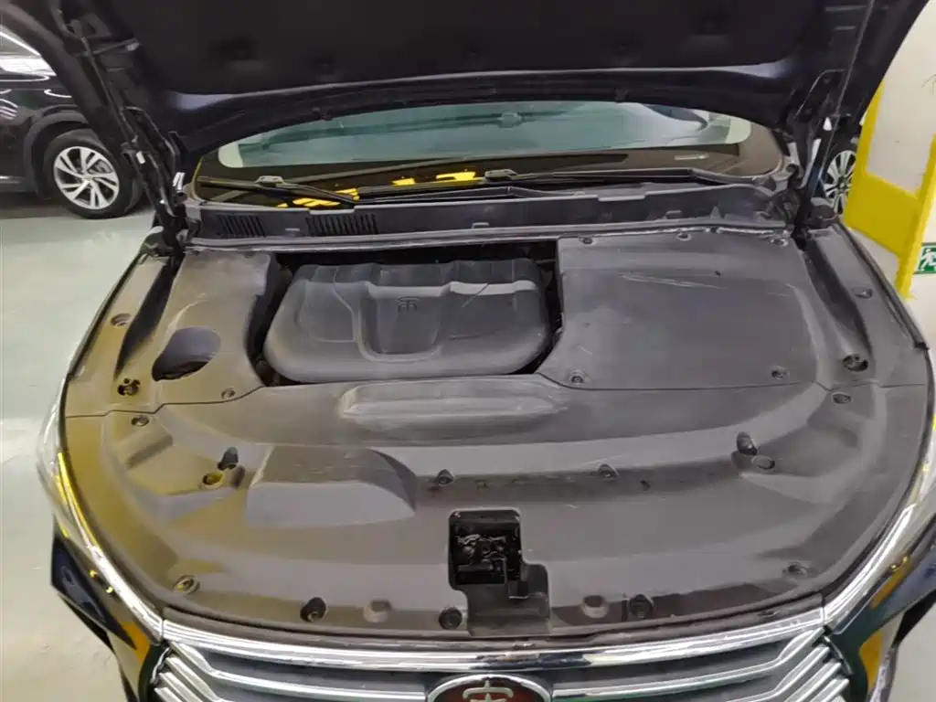 BYD Song MAX 2017 1.5T Auto Smart Connect Premium 7-seater фото 20