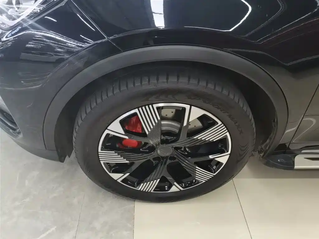 BYD Tang New Energy 2024 DM-p Glory Edition 215KM AWD Premium фото 23