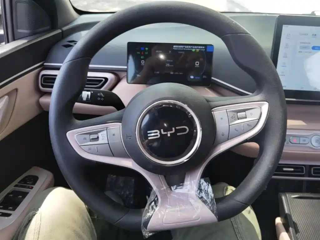 BYD Seagull 2025 Smart Drive Edition 305km Vitality Version фото 11