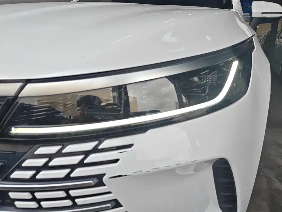 BYD Destroyer 05 2024 Glory Edition DM-i 55KM Luxury фото 5