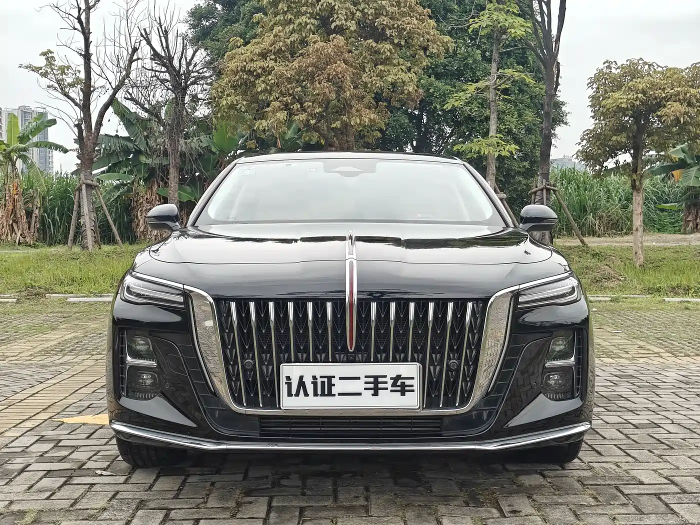 Hongqi H5 2024 2.0T Automatic Smart Connect Flag Smooth Edition фото 2