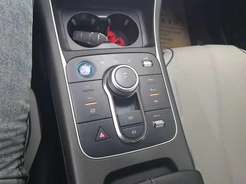 BYD Destroyer 05 2024 Glory Edition DM-i 55KM Luxury фото 14