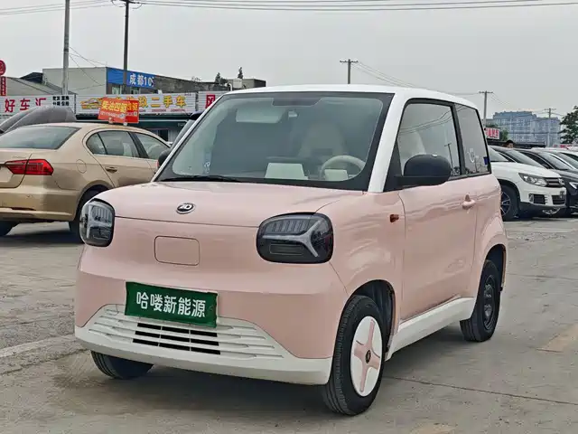 Zhido Rainbow 2024