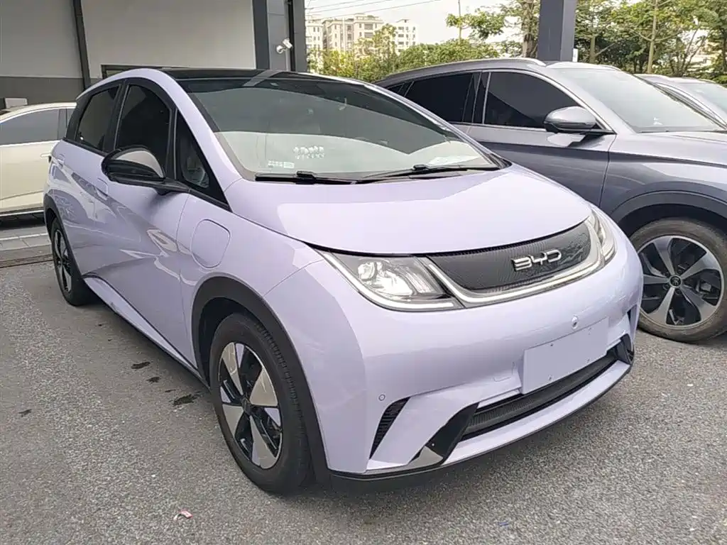 BYD Dolphin 2023 420km Fashion Edition фото 4