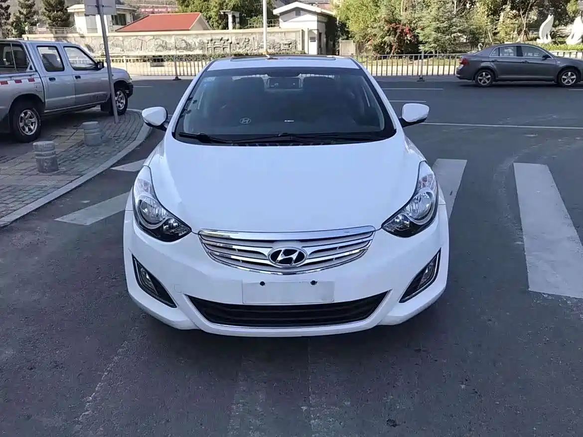 Hyundai Langdong 2012 1.6L Manual Leading фото 2