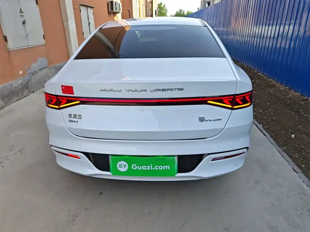BYD Qin PLUS 2024 Glory Edition DM-i 55KM Leading фото 6