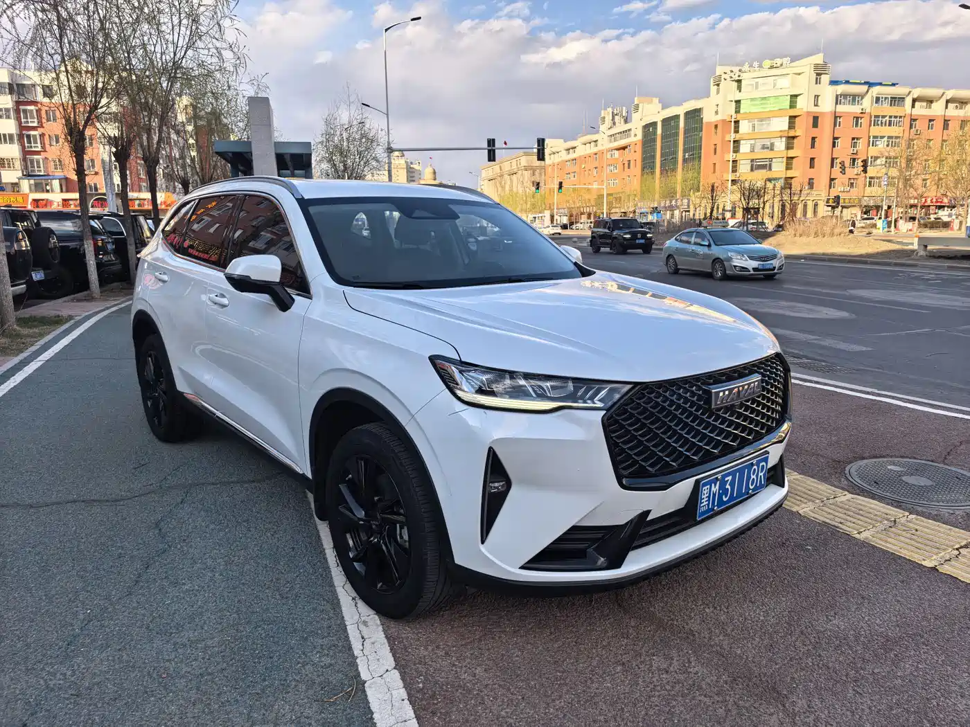 Haval H6 2021 3rd Generation 2.0T Auto 2WD Max фото 3
