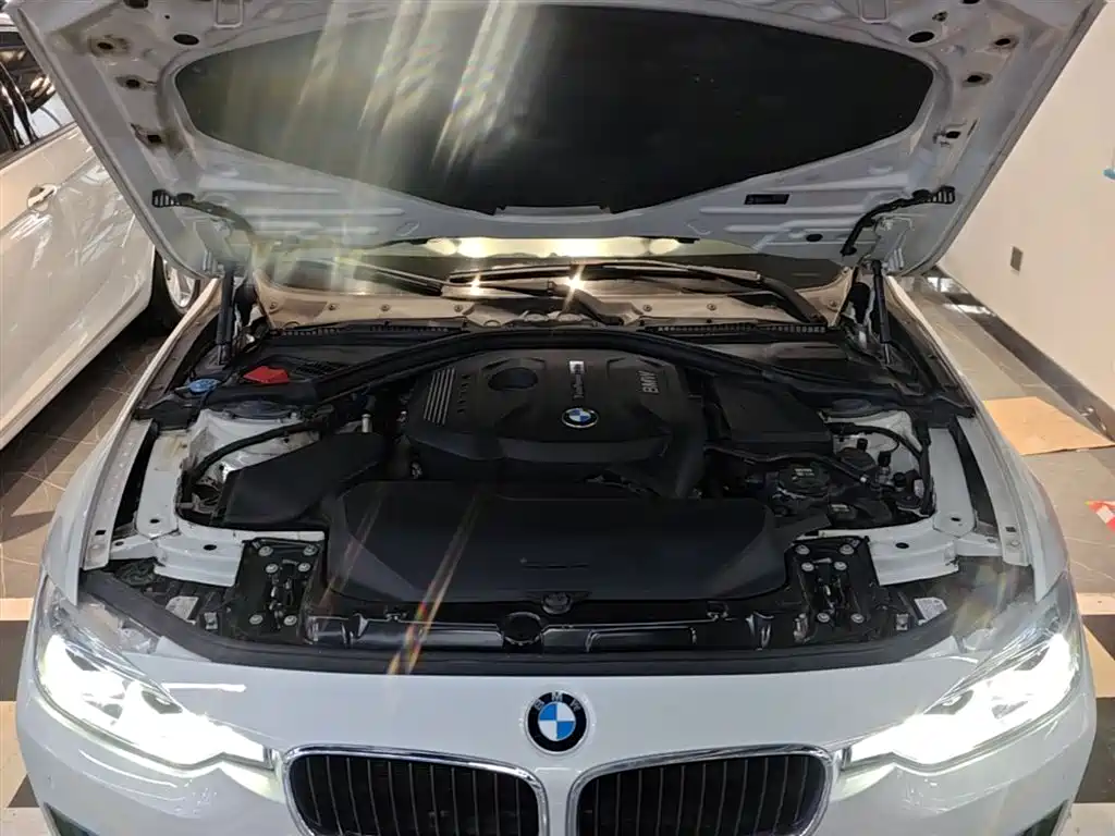BMW 3 Series 2017 320Li Fashion фото 20
