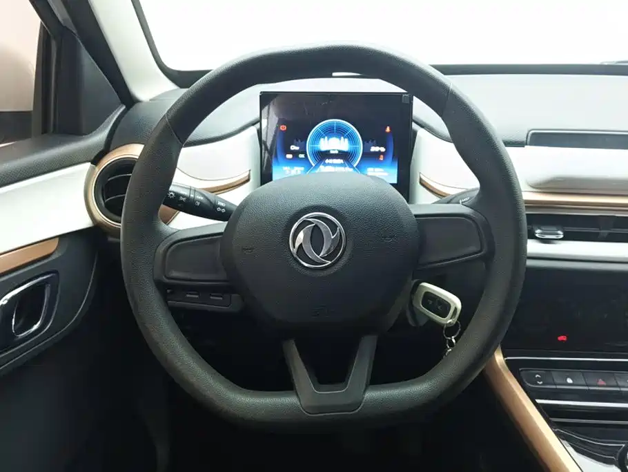صورة 15 - Dongfeng Yipai Dongfeng Nano EX1