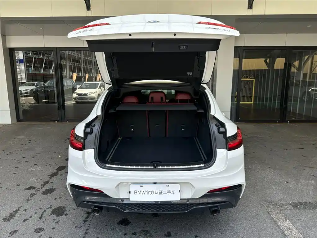 BMW X4 2021 xDrive 25i M Sport Glorious Night Package фото 11