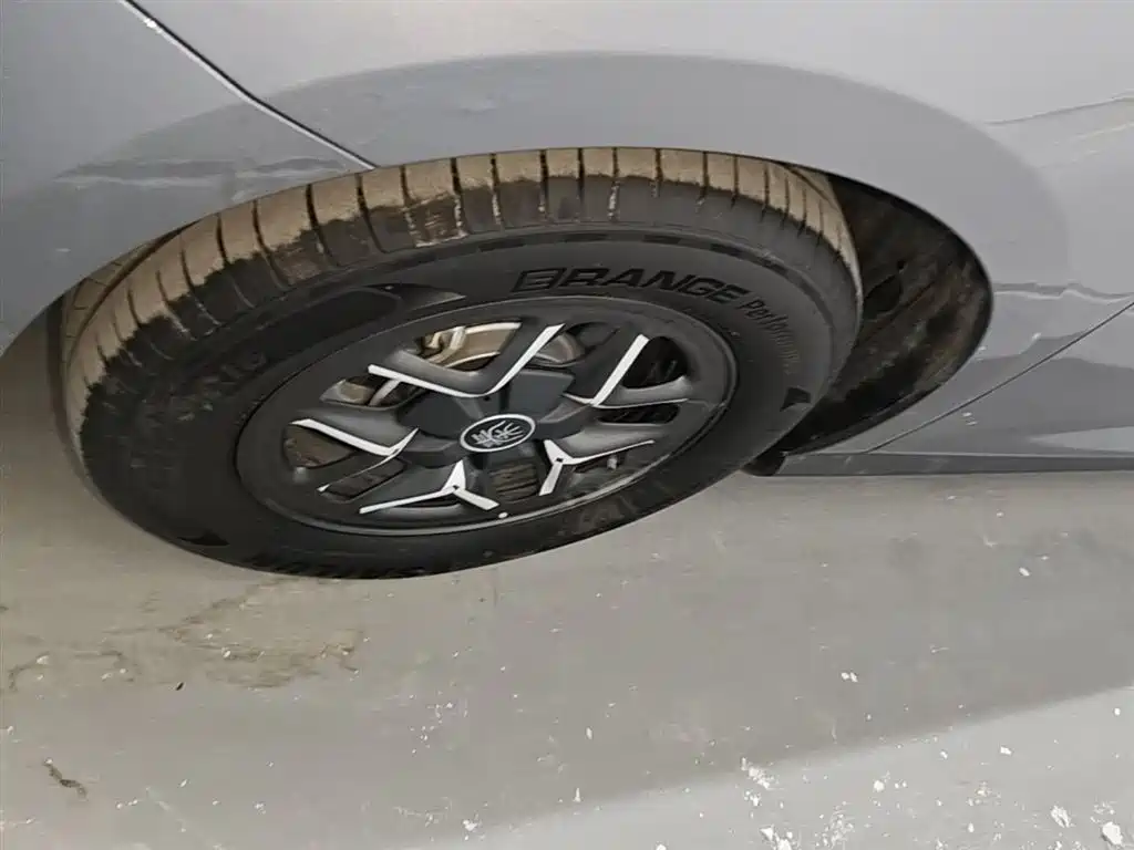 BYD Qin PLUS 2025 DM-i Smart Drive 55KM Leader фото 23