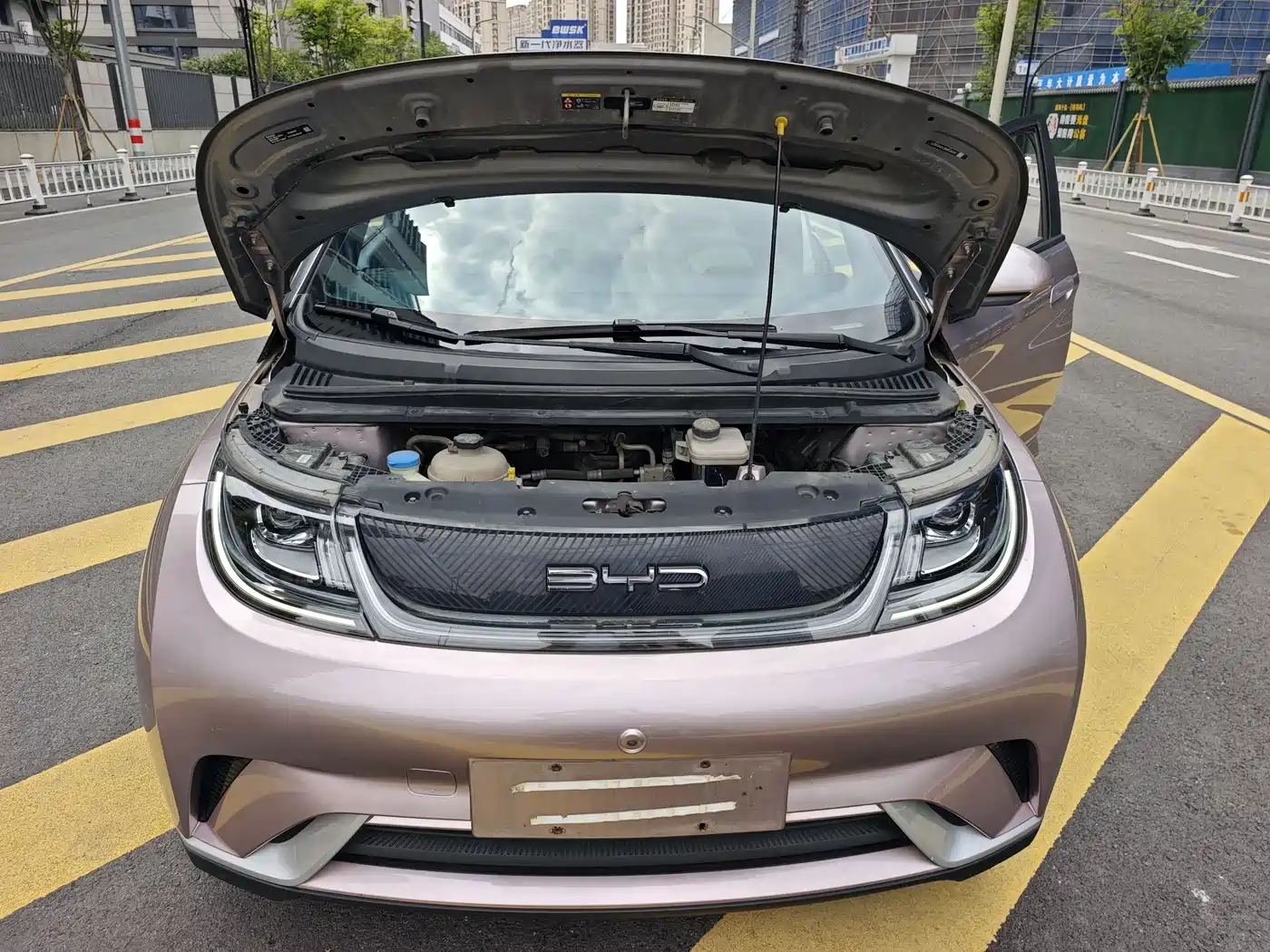 BYD Dolphin 2021 Model 405km Fashion Edition фото 21