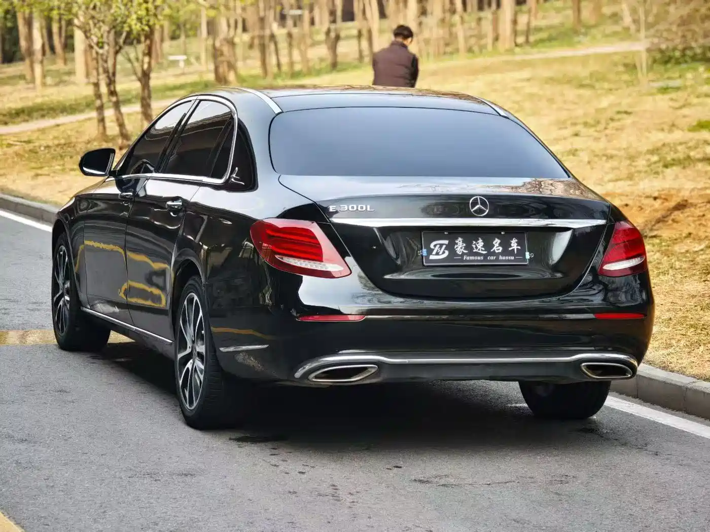 Mercedes-Benz E-Class 2019 E 200 L фото 5