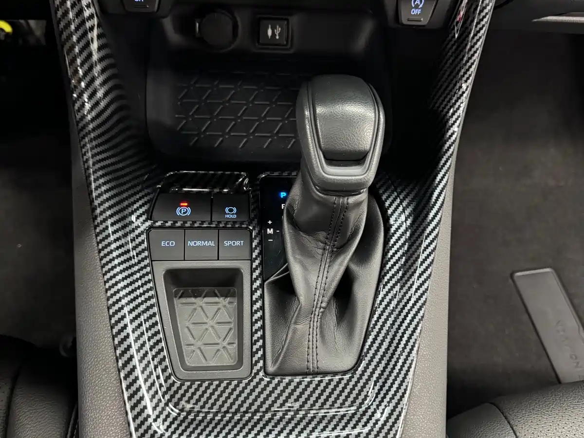 Toyota RAV4 Rongfang 2020 2.0L CVT 2WD Trend Edition фото 15