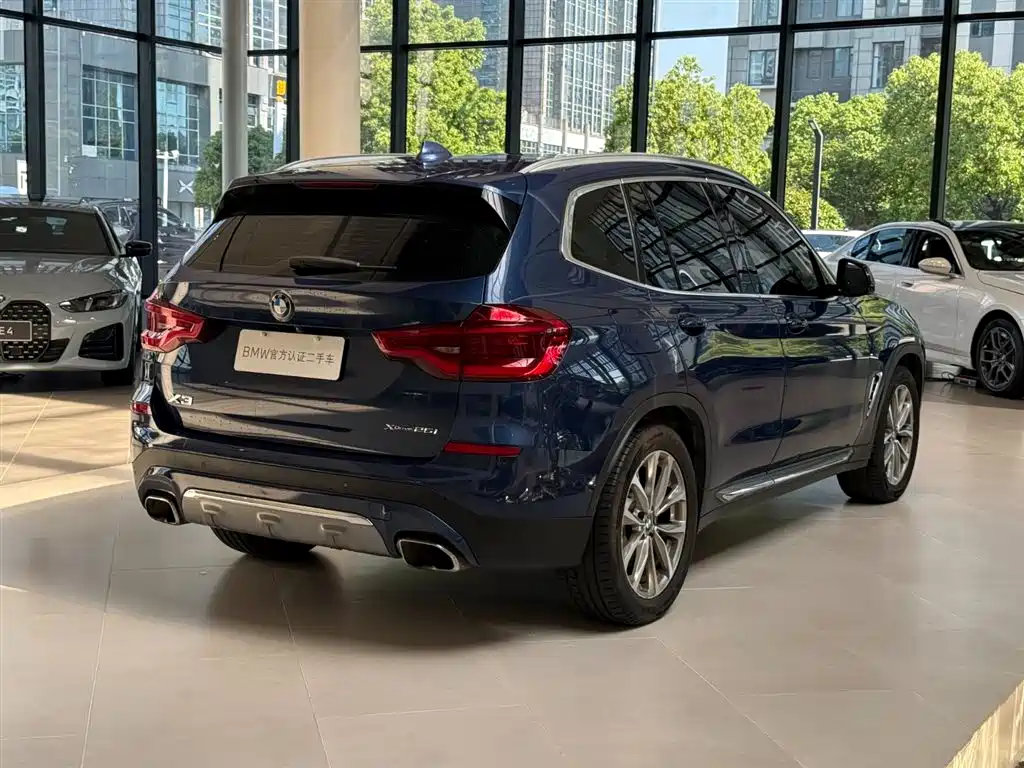 BMW X3 2019 xDrive25i Luxury Package фото 10