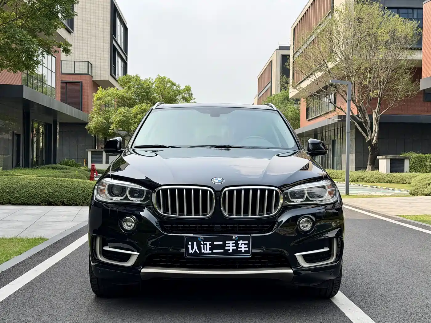 BMW X5 (Import) 2014 xDrive35i Luxury фото 2