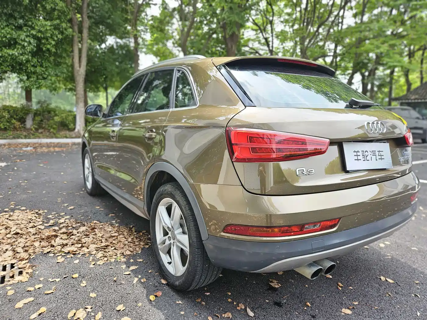 Audi Q3 2018 30th Anniversary Edition 30 TFSI Style фото 5