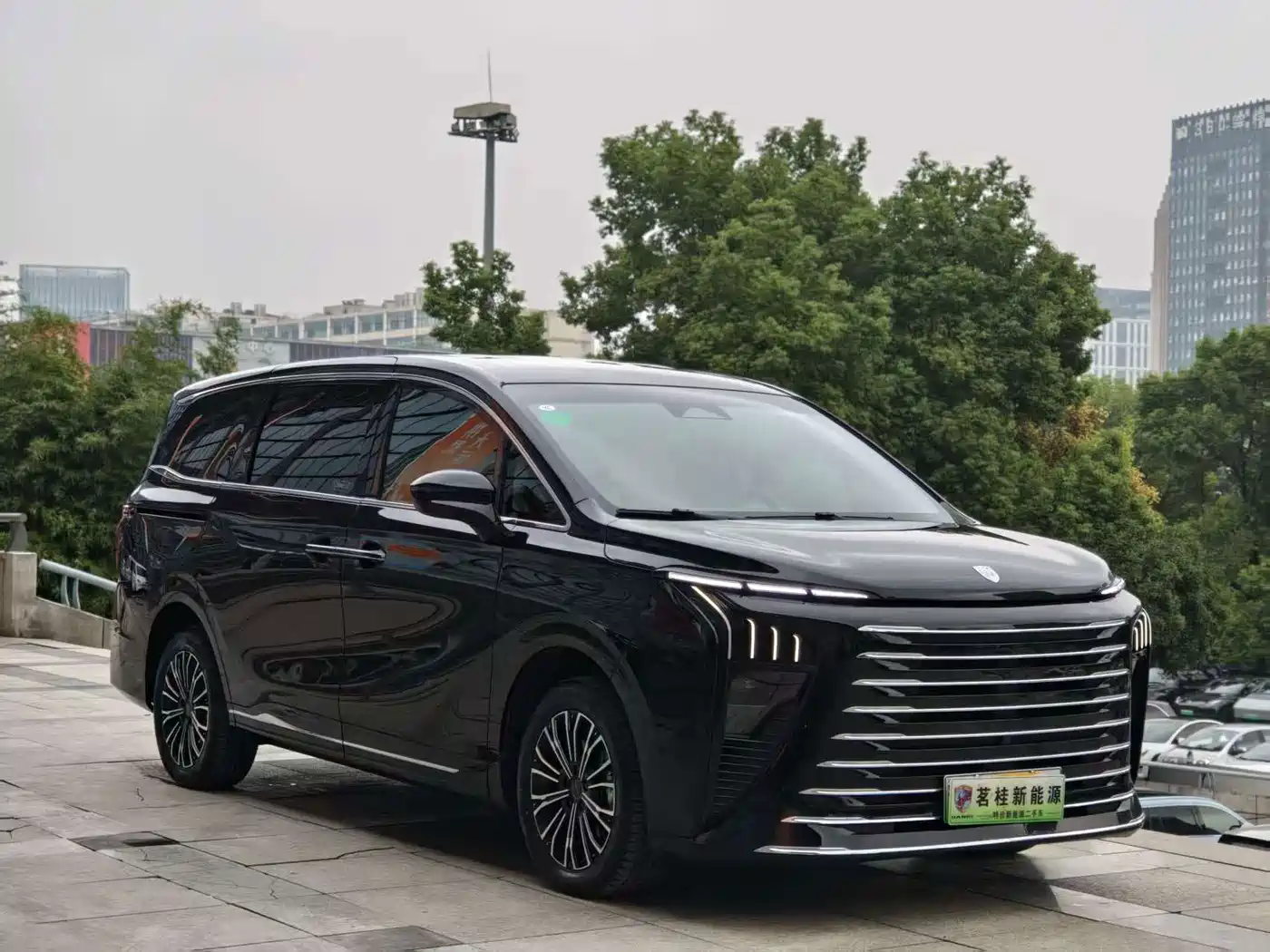 Dongfeng Fengxing Starlight V9 2025 2026 Beyond Joy Series 200km Luxury