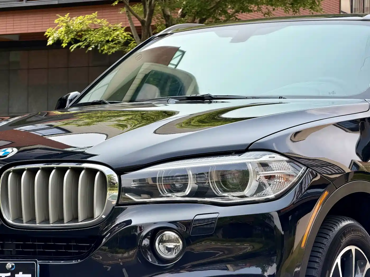 BMW X5 (Import) 2014 xDrive35i Luxury фото 9