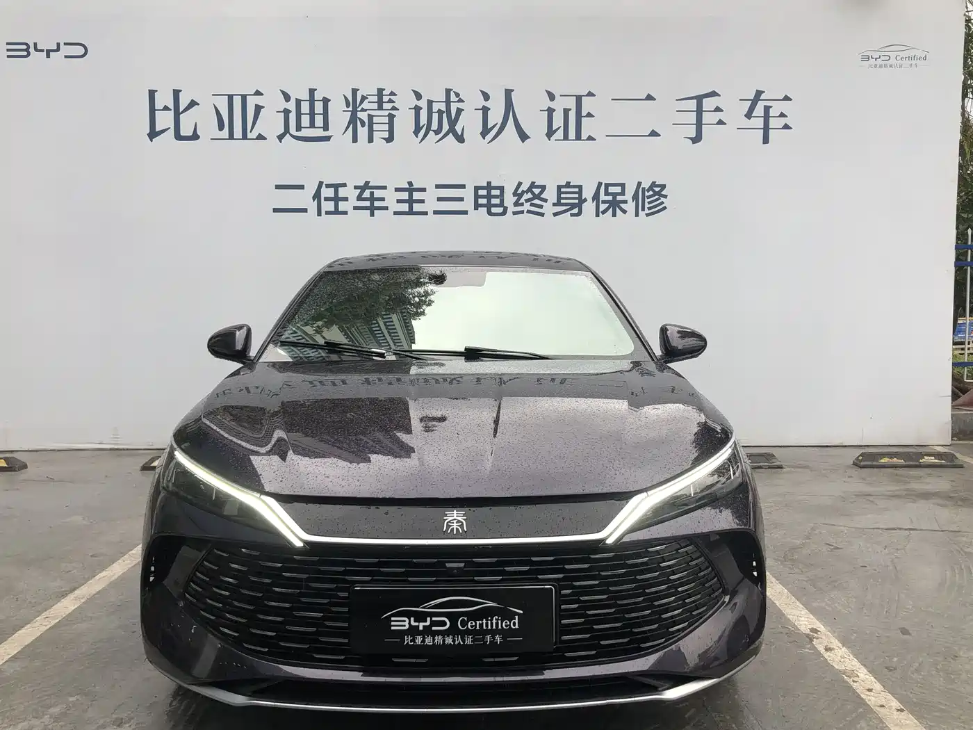 BYD QIN L