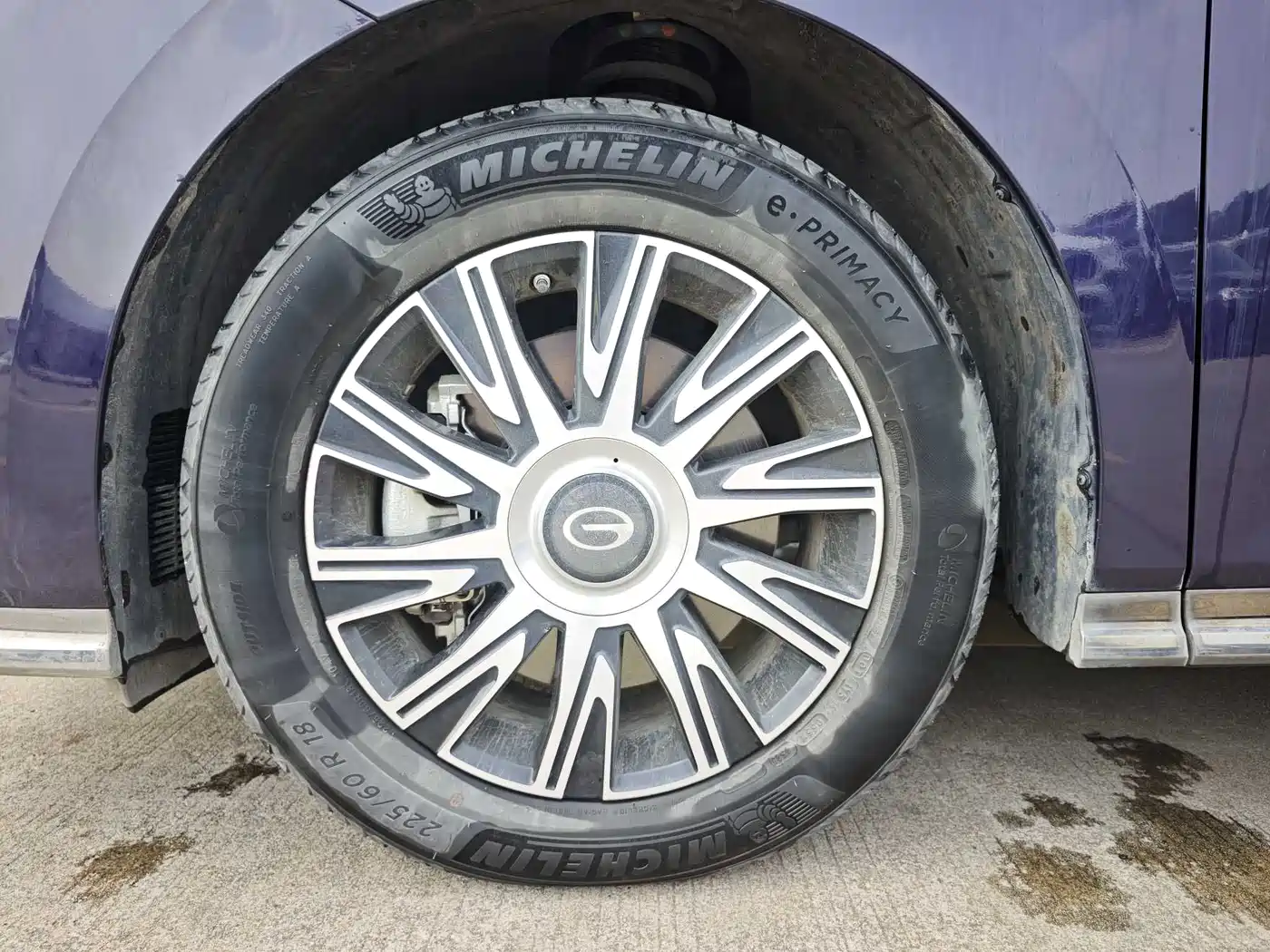 GAC Trumpchi Trumpchi E9 2023 E9 MAX фото 21