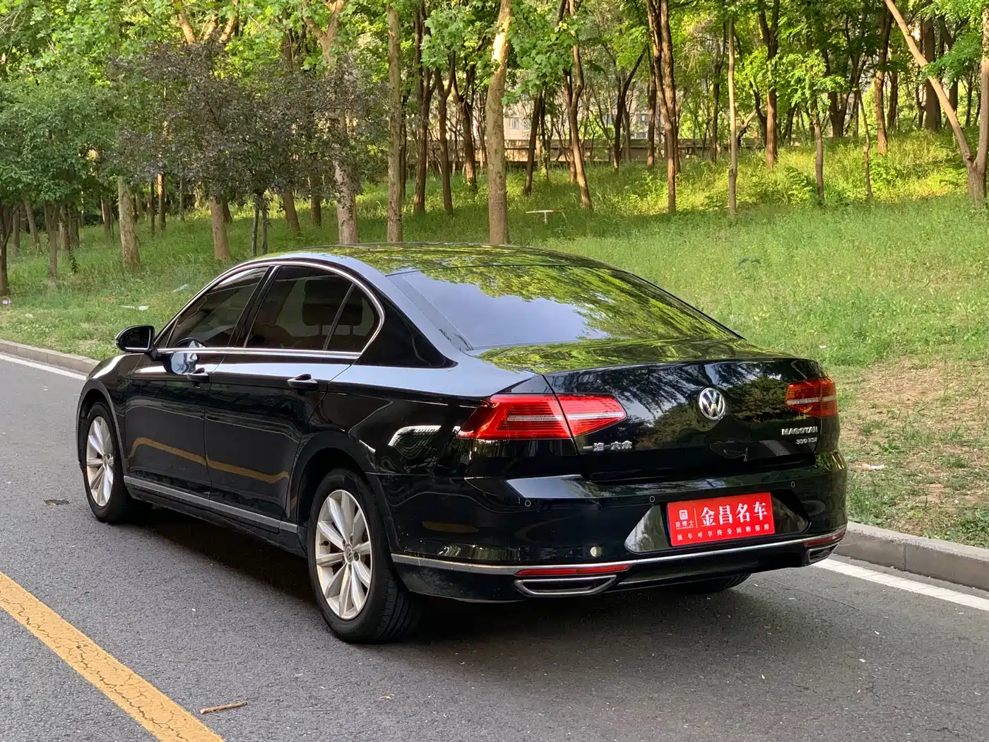 Volkswagen Magotan 2019 330TSI DSG Leading China V фото 6