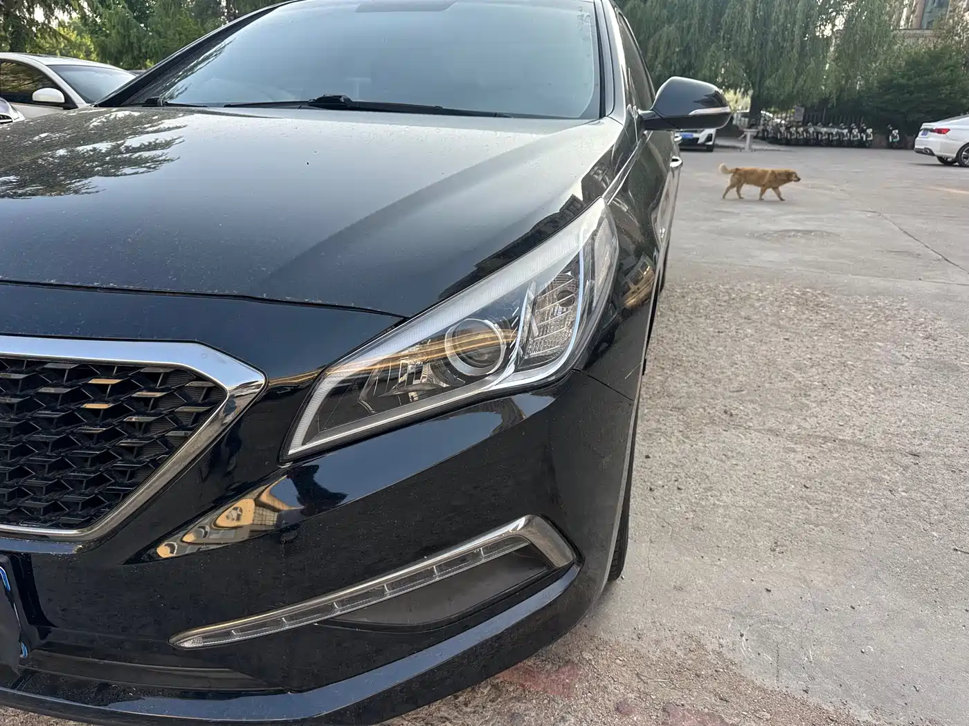 Hyundai Sonata 2015 1.6T GLX Leading фото 17