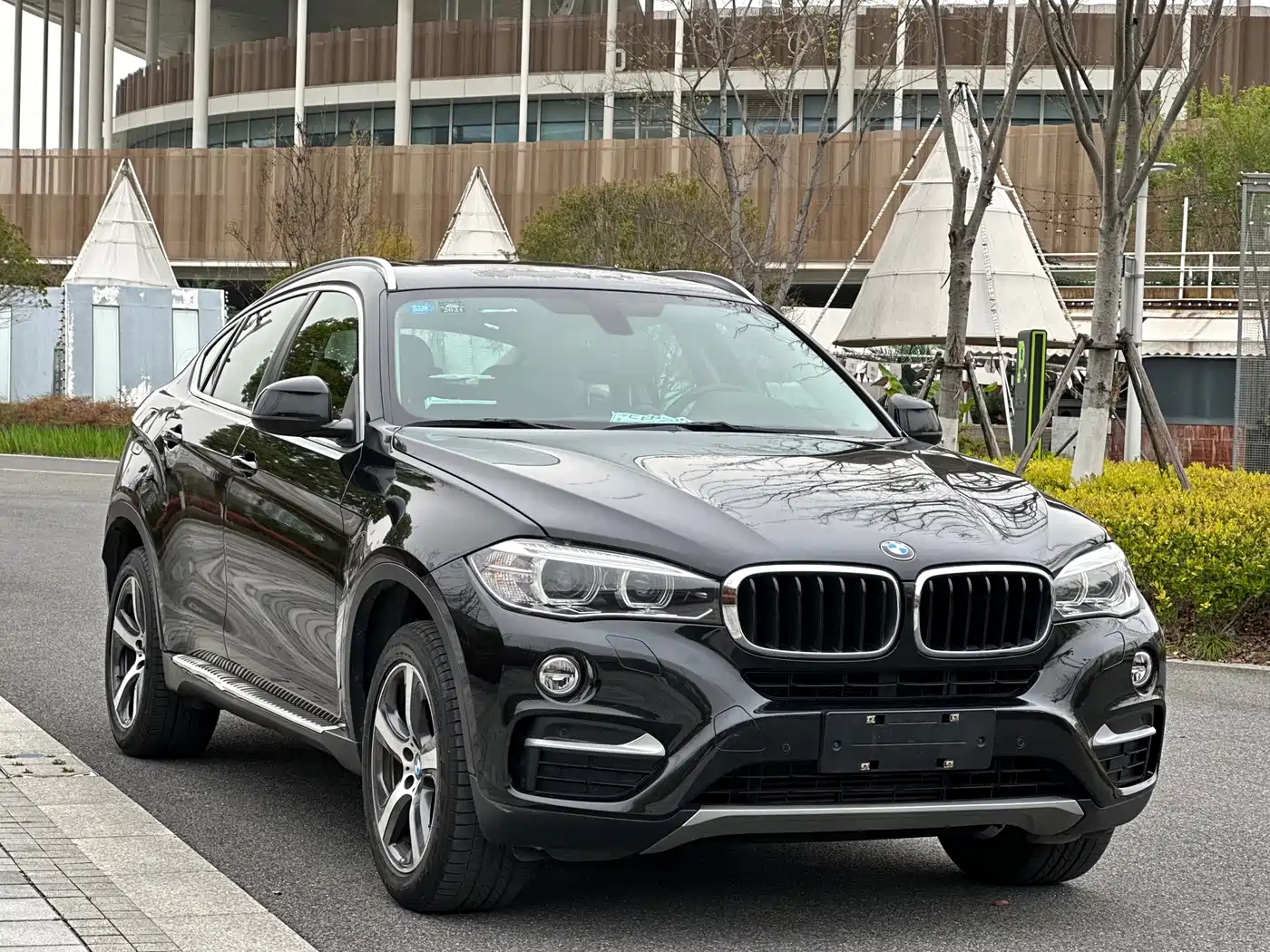 BMW X6 2015 xDrive35i Luxury Model фото 3
