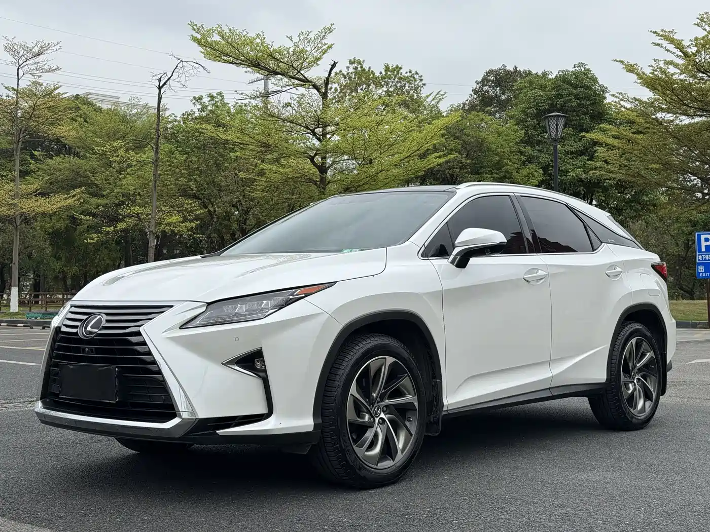 LEXUS RX