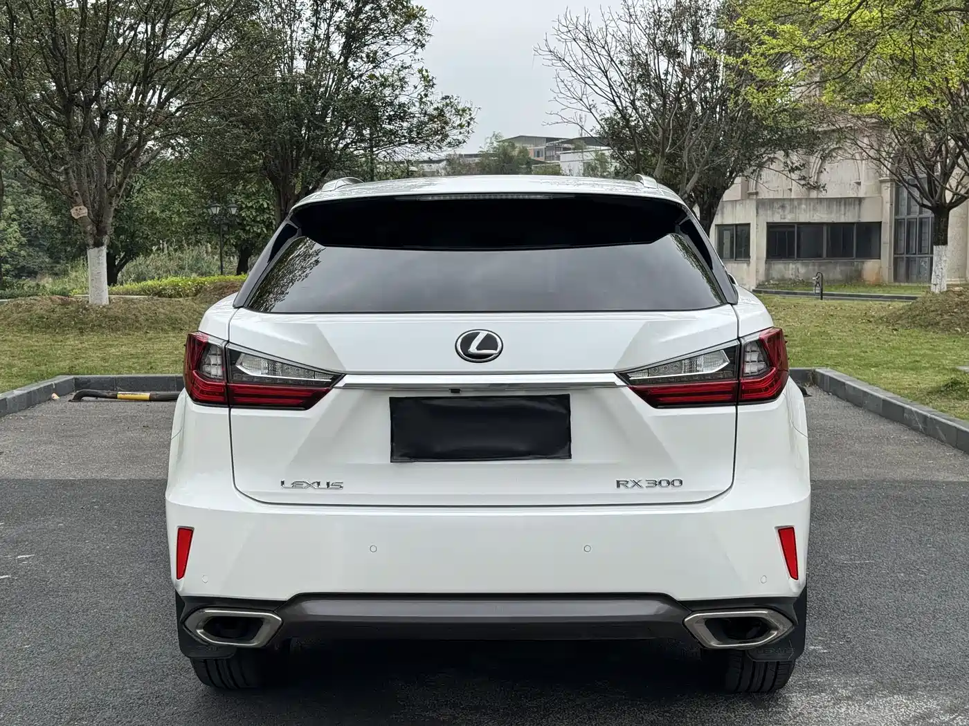LEXUS RX